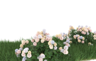 Realistic foliage isolated on transparent background. 3d rendering - illustration png