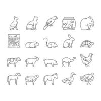 Pets Domestic Animal Collection Icons Set Vector