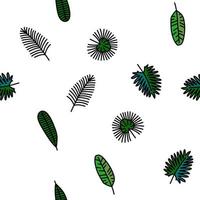 palm leaf summer plant green vector seamless pattern