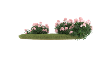 Realistic foliage isolated on transparent background. 3d rendering - illustration png