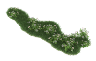 Realistic foliage isolated on transparent background. 3d rendering - illustration png