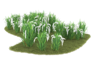 Realistic foliage isolated on transparent background. 3d rendering - illustration png