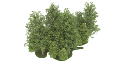 Realistic forest isolated on transparent background. 3d rendering - illustration png