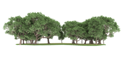 Realistic forest isolated on transparent background. 3d rendering - illustration png