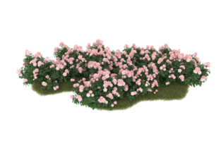 Realistic foliage isolated on transparent background. 3d rendering - illustration png