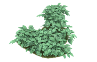 Realistic foliage isolated on transparent background. 3d rendering - illustration png