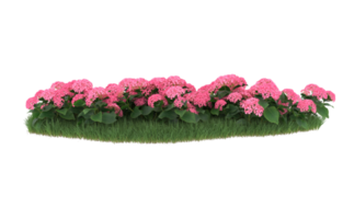 Realistic foliage isolated on transparent background. 3d rendering - illustration png