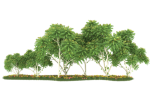 Realistic forest isolated on transparent background. 3d rendering - illustration png