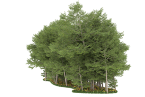 forêt réaliste isolée sur fond transparent. rendu 3d - illustration png