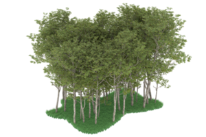 Realistic forest isolated on transparent background. 3d rendering - illustration png