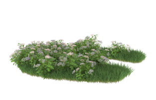 Realistic foliage isolated on transparent background. 3d rendering - illustration png