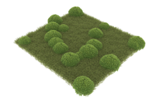 Realistic foliage isolated on transparent background. 3d rendering - illustration png