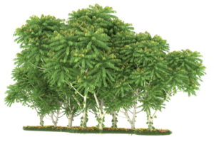 forêt réaliste isolée sur fond transparent. rendu 3d - illustration png