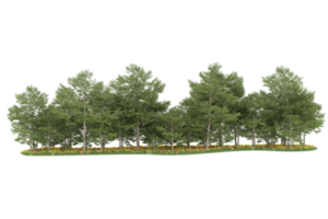 bosque realista aislado sobre fondo transparente. Representación 3d - ilustración png