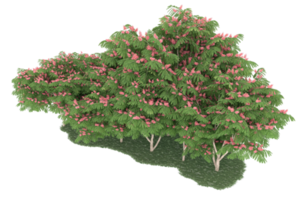 Realistic forest isolated on transparent background. 3d rendering - illustration png