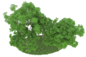 forêt réaliste isolée sur fond transparent. rendu 3d - illustration png