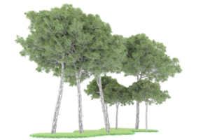 Realistic forest isolated on transparent background. 3d rendering - illustration png