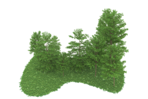 forêt réaliste isolée sur fond transparent. rendu 3d - illustration png