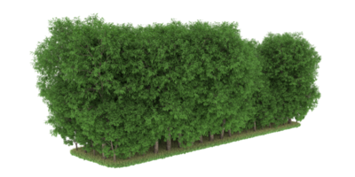 Realistic forest isolated on transparent background. 3d rendering - illustration png