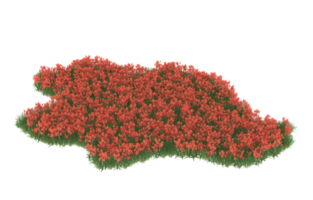 Realistic foliage isolated on transparent background. 3d rendering - illustration png