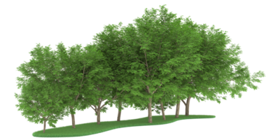 Realistic forest isolated on transparent background. 3d rendering - illustration png