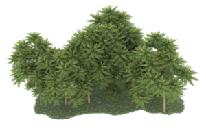 Realistic forest isolated on transparent background. 3d rendering - illustration png