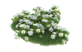 Realistic foliage isolated on transparent background. 3d rendering - illustration png