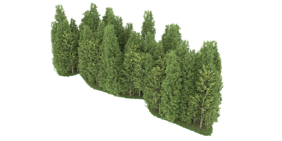 realistischer wald lokalisiert auf transparentem hintergrund. 3D-Rendering - Abbildung png