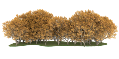 Realistic forest isolated on transparent background. 3d rendering - illustration png