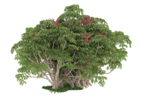 floresta realista isolada em fundo transparente. renderização 3D - ilustração png