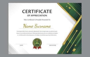 Professional Certificate Concept vector