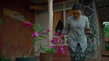 Asian women enjoy the view in front of the house and sit near the purple flowers during the morning video