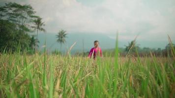 uma mulher asiática apreciando a vista enquanto colhe o campo de arroz em um vestido rosa e lenço verde em seu corpo na aldeia video