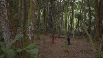 Two Chinese Woman head to head before fighting in the forest video