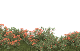 Realistic foliage isolated on transparent background. 3d rendering - illustration png