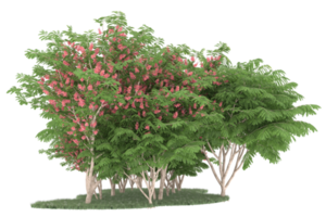 forêt réaliste isolée sur fond transparent. rendu 3d - illustration png