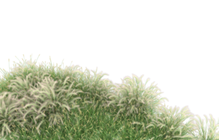 Realistic foliage isolated on transparent background. 3d rendering - illustration png