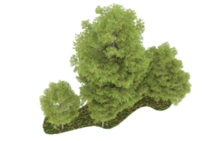 Realistic forest isolated on transparent background. 3d rendering - illustration png