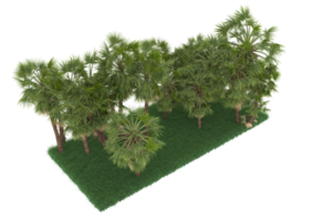 Palm trees isolated on transparent background. 3d rendering - illustration png