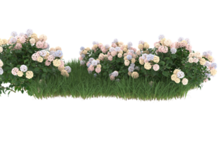 Realistic foliage isolated on transparent background. 3d rendering - illustration png