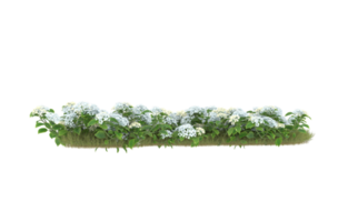 Realistic foliage isolated on transparent background. 3d rendering - illustration png