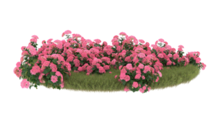 Realistic foliage isolated on transparent background. 3d rendering - illustration png