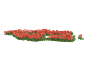 Realistic foliage isolated on transparent background. 3d rendering - illustration png