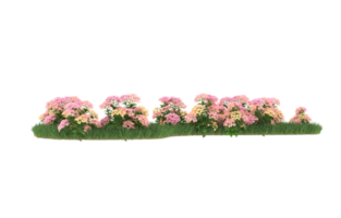 Realistic foliage isolated on transparent background. 3d rendering - illustration png