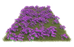 Realistic foliage isolated on transparent background. 3d rendering - illustration png