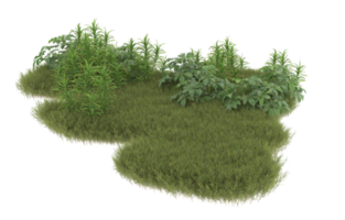 Realistic foliage isolated on transparent background. 3d rendering - illustration png