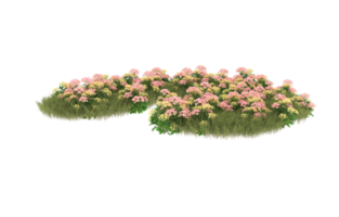 Realistic foliage isolated on transparent background. 3d rendering - illustration png