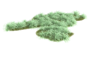 Realistic foliage isolated on transparent background. 3d rendering - illustration png