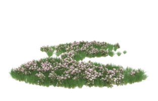 Realistic foliage isolated on transparent background. 3d rendering - illustration png