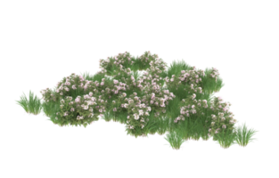 Realistic foliage isolated on transparent background. 3d rendering - illustration png